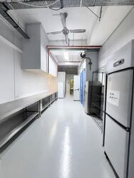 Excalibur Centre (D14), Factory #595609721